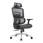 GHẾ CÔNG THÁI HỌC ERGONOMIC E-DRA EEC220