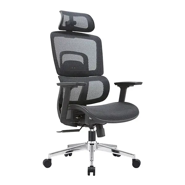 GHẾ CÔNG THÁI HỌC ERGONOMIC E-DRA EEC220