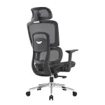 GHẾ CÔNG THÁI HỌC ERGONOMIC E-DRA EEC220
