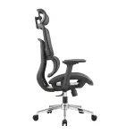 GHẾ CÔNG THÁI HỌC ERGONOMIC E-DRA EEC220