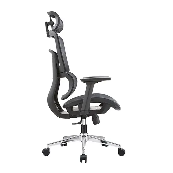 GHẾ CÔNG THÁI HỌC ERGONOMIC E-DRA EEC220