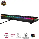 BÀN PHÍM ASUS ROG FALCHION ( CHERY MX BLUE/ LAYOUT 65%)